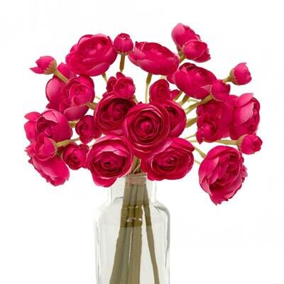 Bundle of 9 Ranunculus Rose Pink