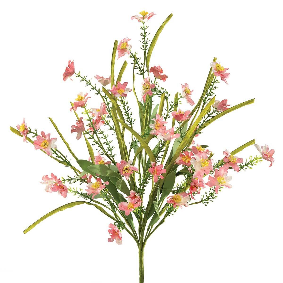 Bush Daisy Heather Pink