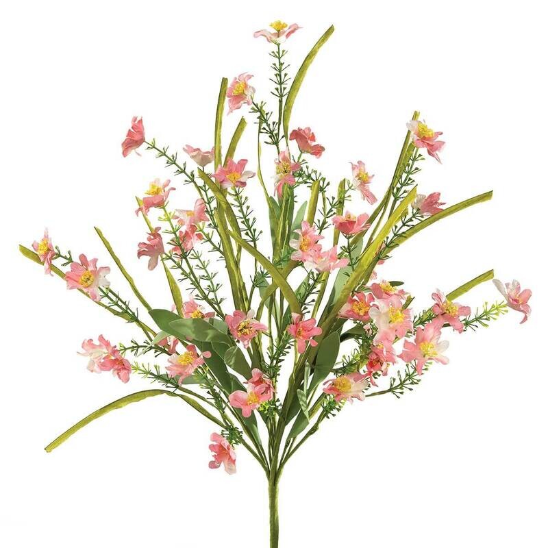Bush Daisy Heather Pink