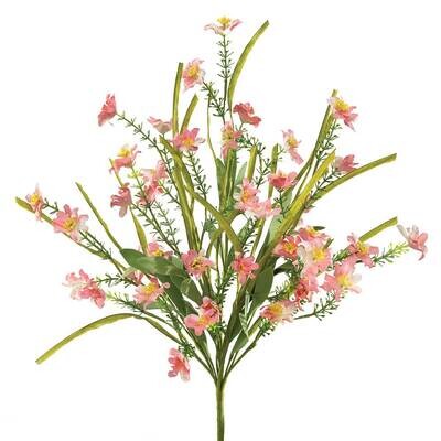 Bush Daisy Heather Pink