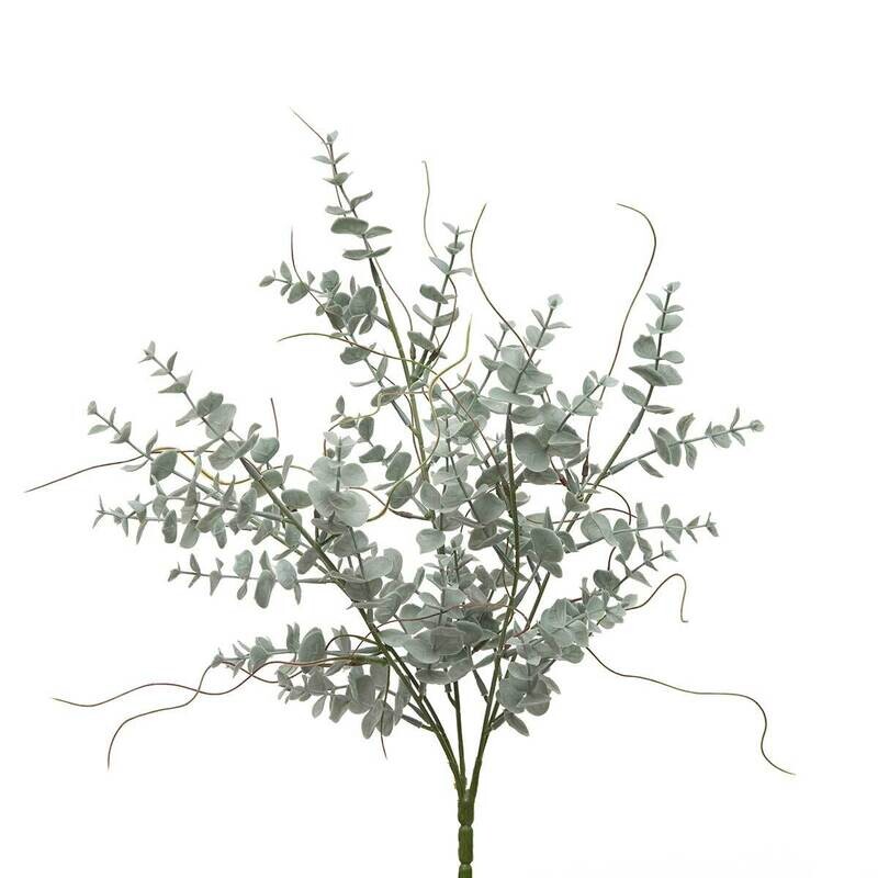 Bush Eucalyptus and Twigs Grey