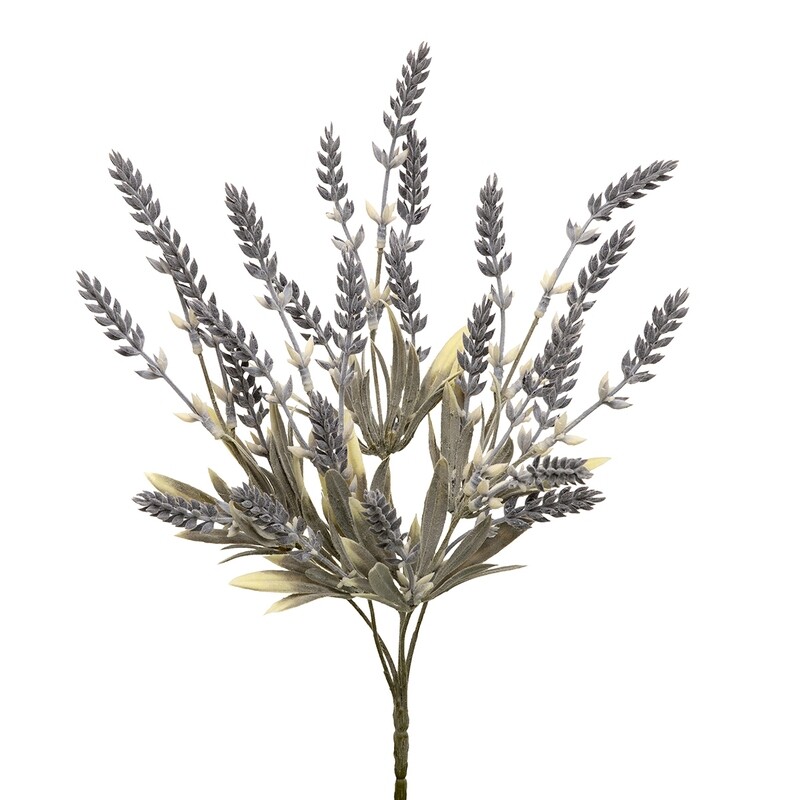 Bush Lavender Sage
