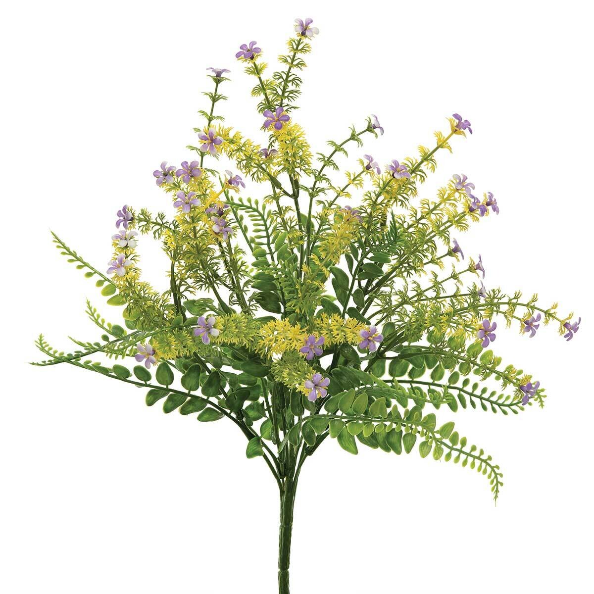 Bush Flowering Fern/Grass