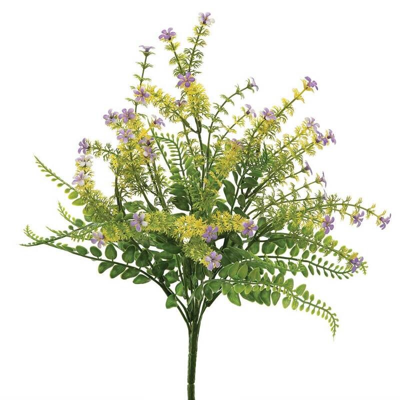 Bush Flowering Fern/Grass