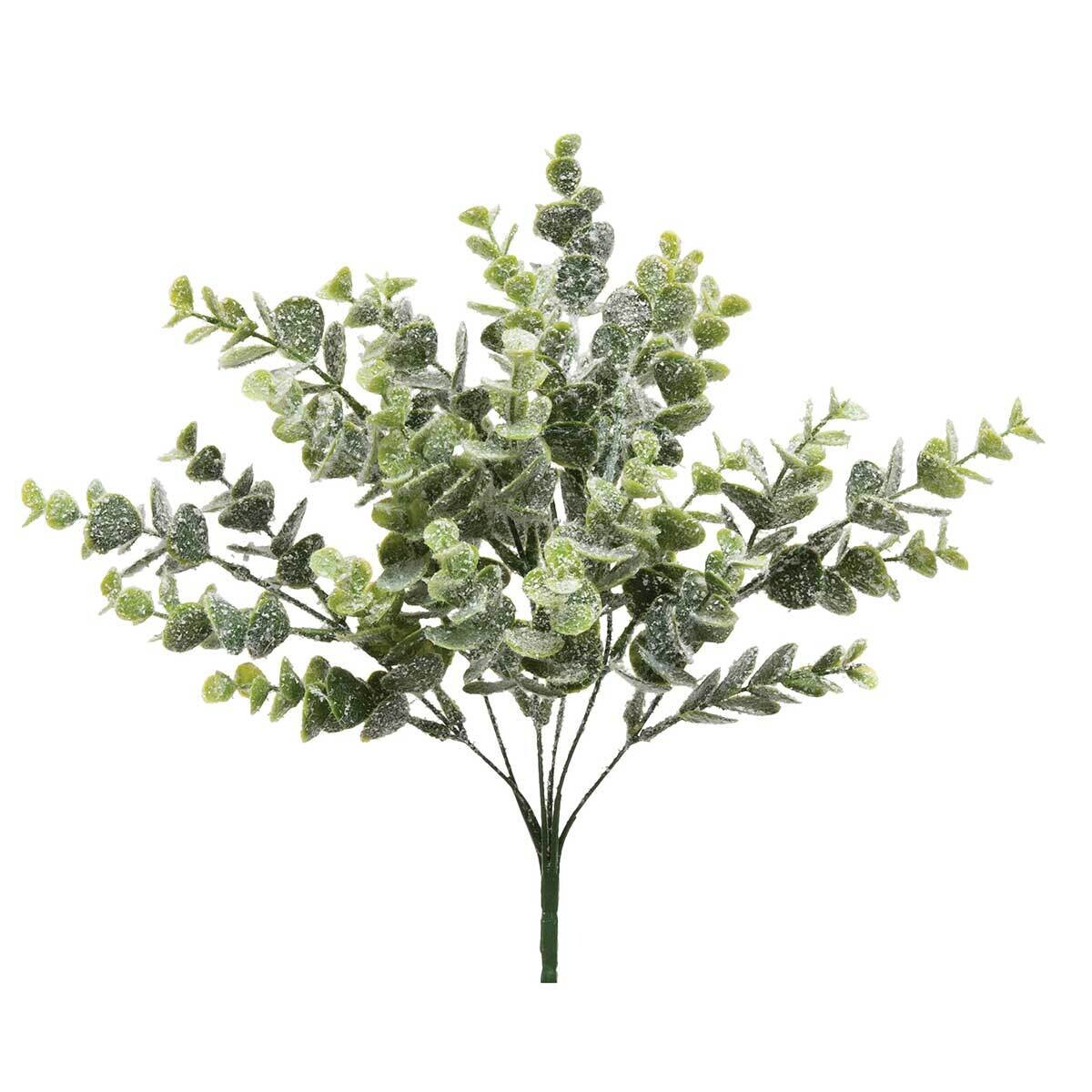 Bush Sparkle Eucalyptus Pine