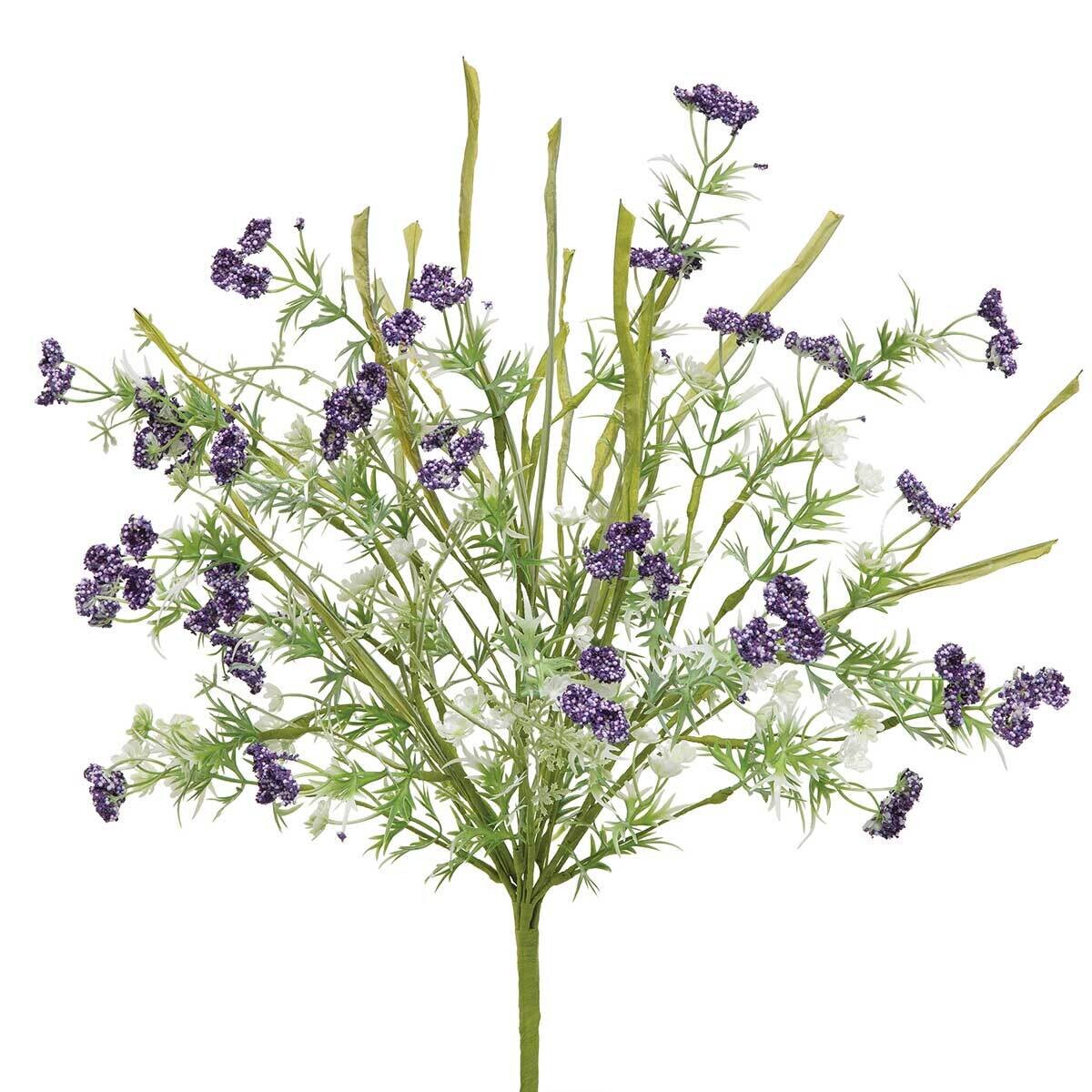 Bush wild yarrow lavender