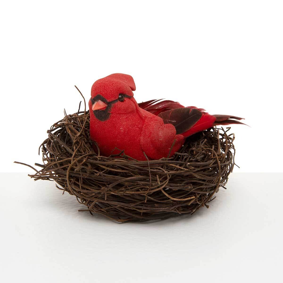 Cardinal in Nest