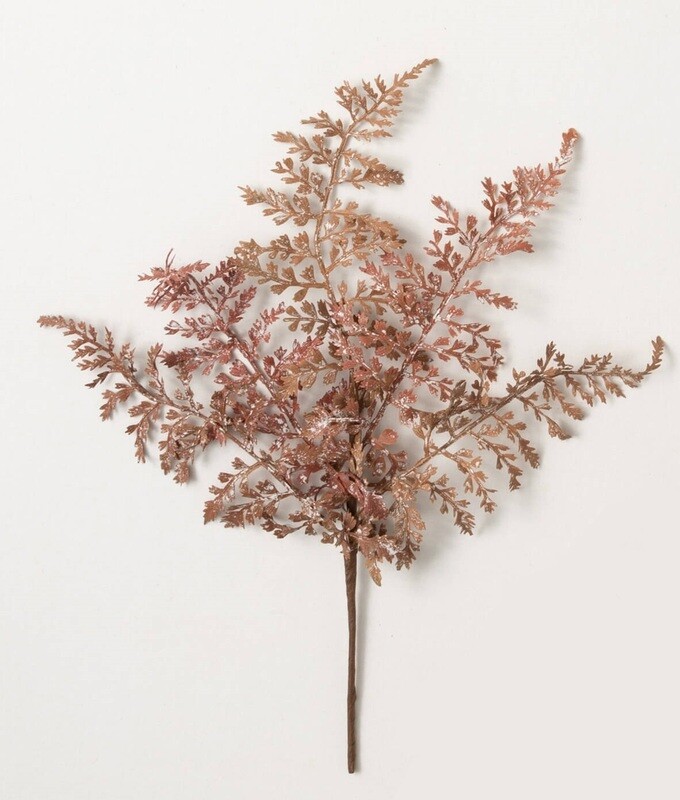 Asparagus Fern Bush Autumn