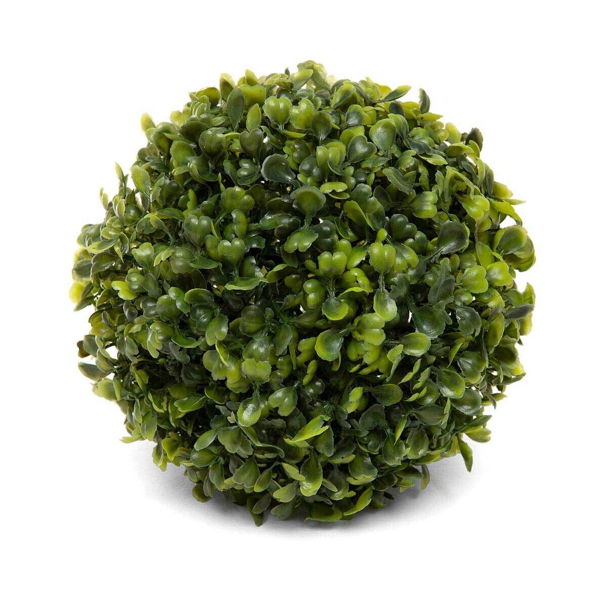 Ball Dome Boxwood Medium
