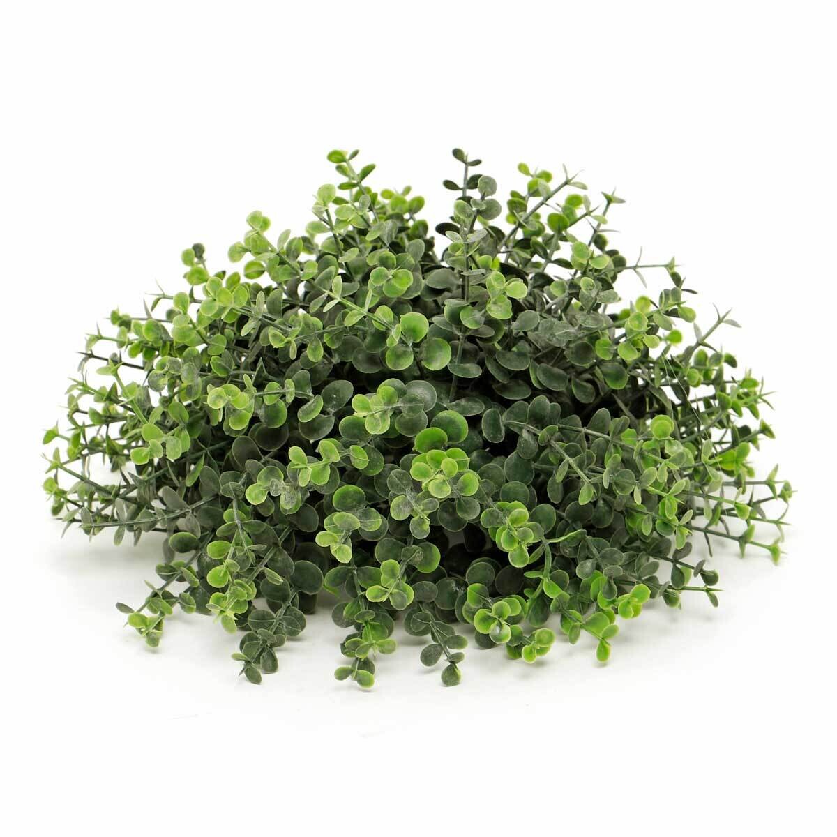 Ball Dome Mini Privet Large