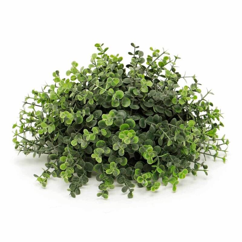 Ball Dome Mini Privet Large