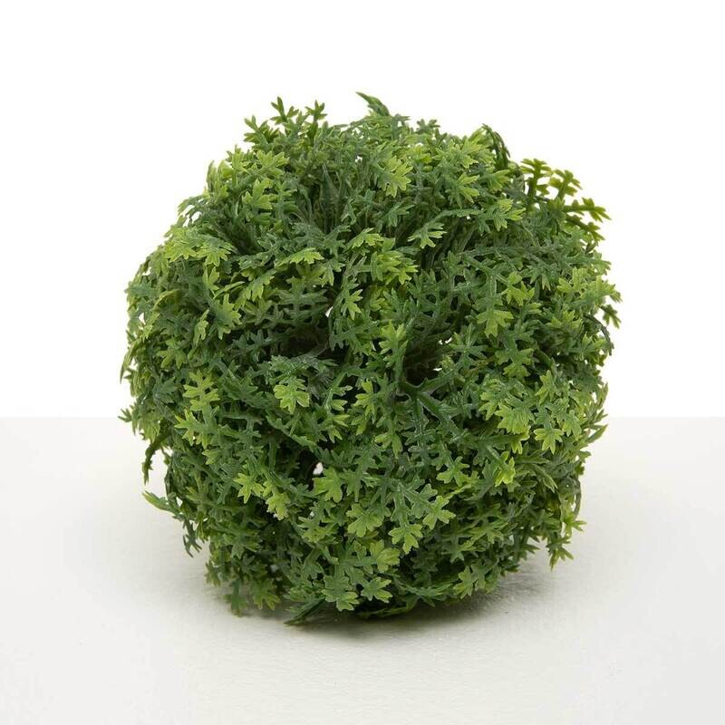 Ball Mini Spike Moss