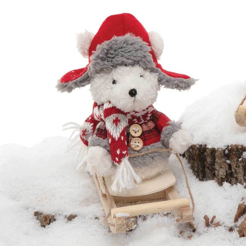 Bear winter on Sled