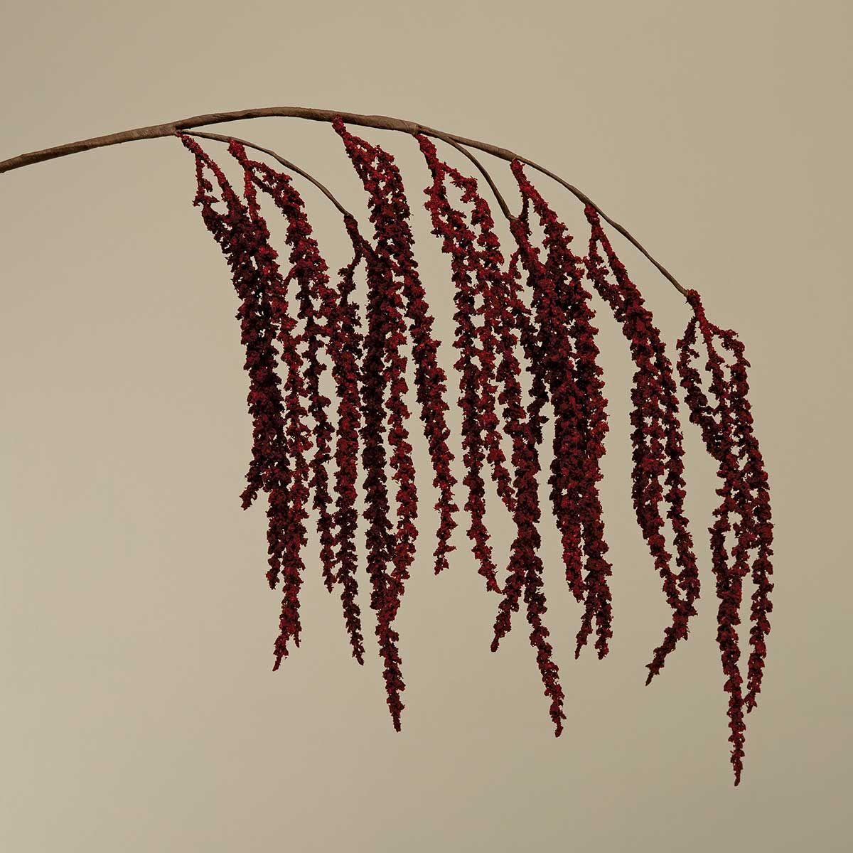 Amaranthus Hanging Burgundy