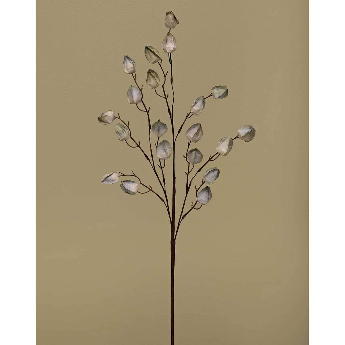 Chinese Lantern Spray Grey