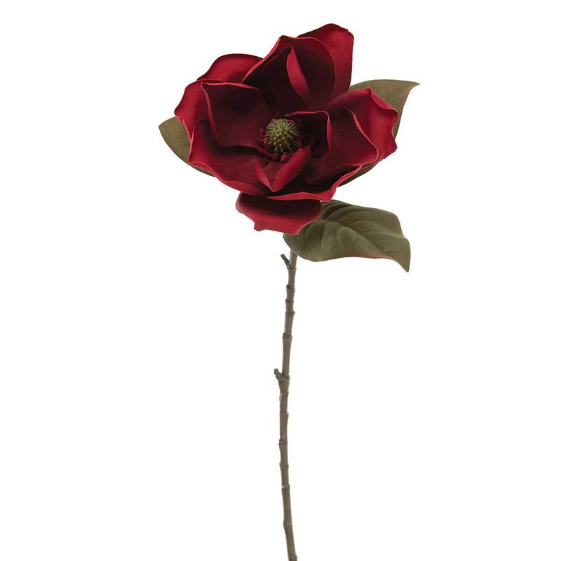 Burgundy Magnolia Stem