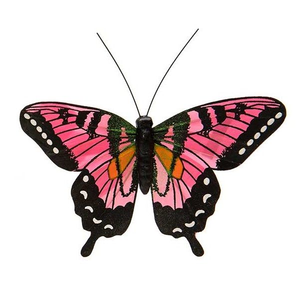 Butterfly Pink Purple Large