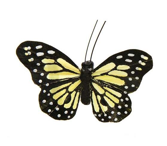 Butterfly Pink Yellow Small