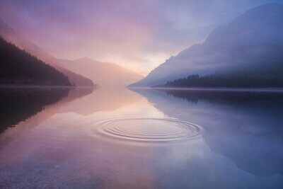 CALM