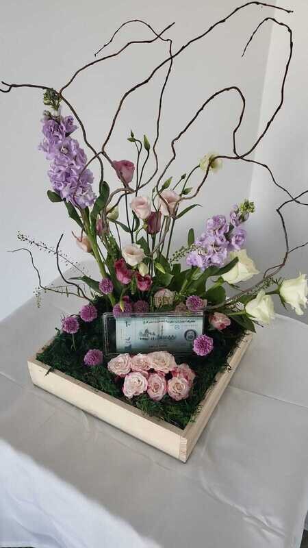 Garden Box
