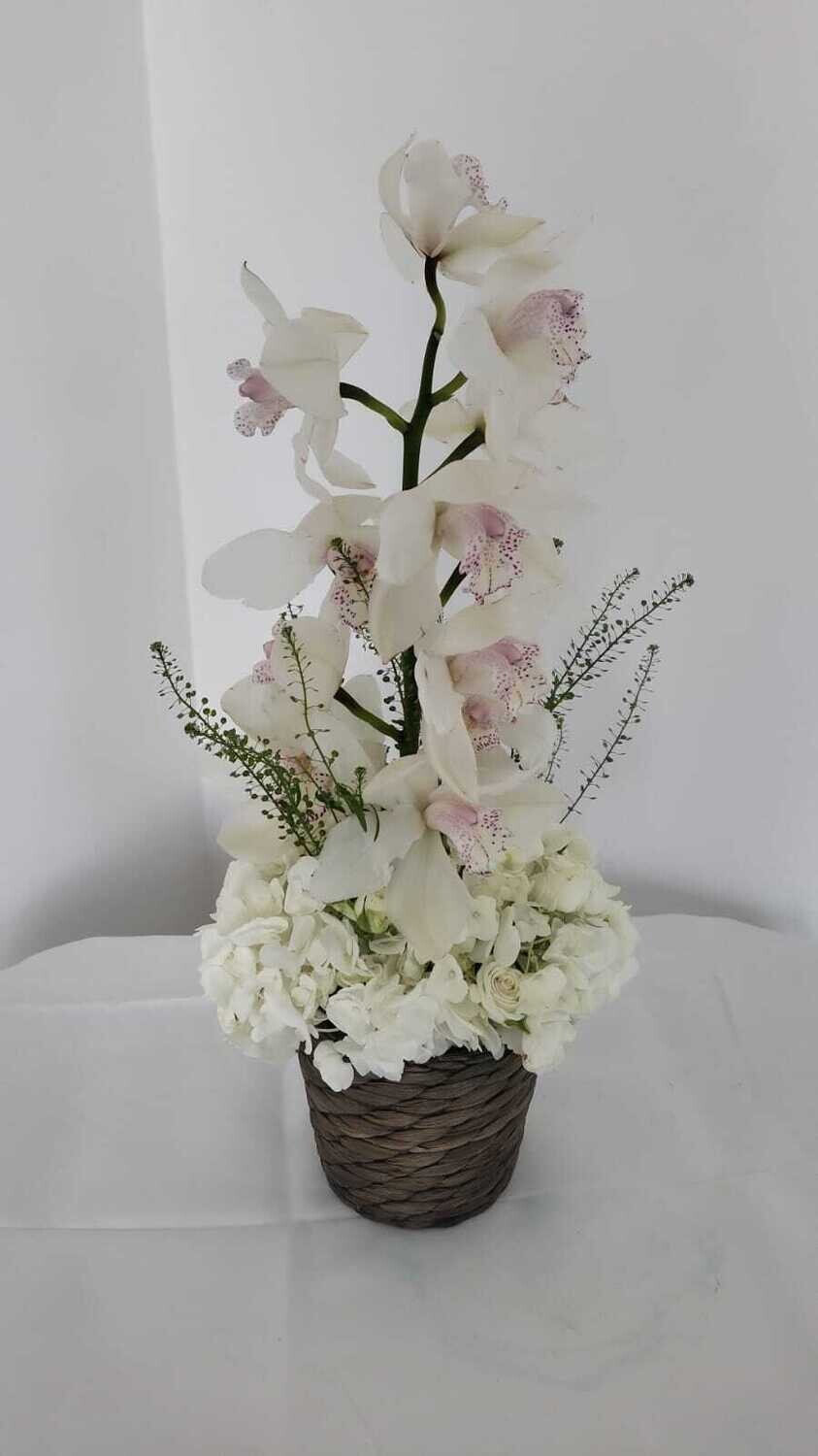 Cymbidium Tower