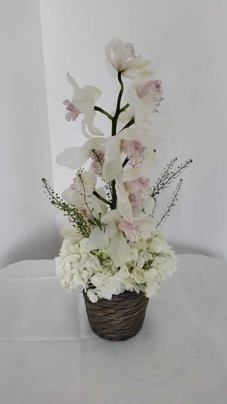 Cymbidium Tower