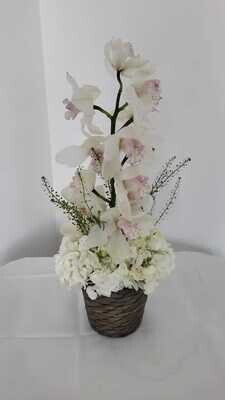 Cymbidium Tower
