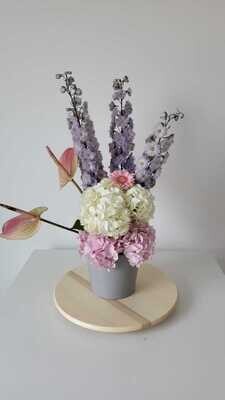 Gentle Pink