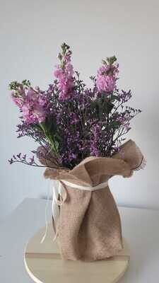 Limonium Lime