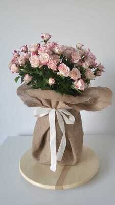 Baby rose In Jute