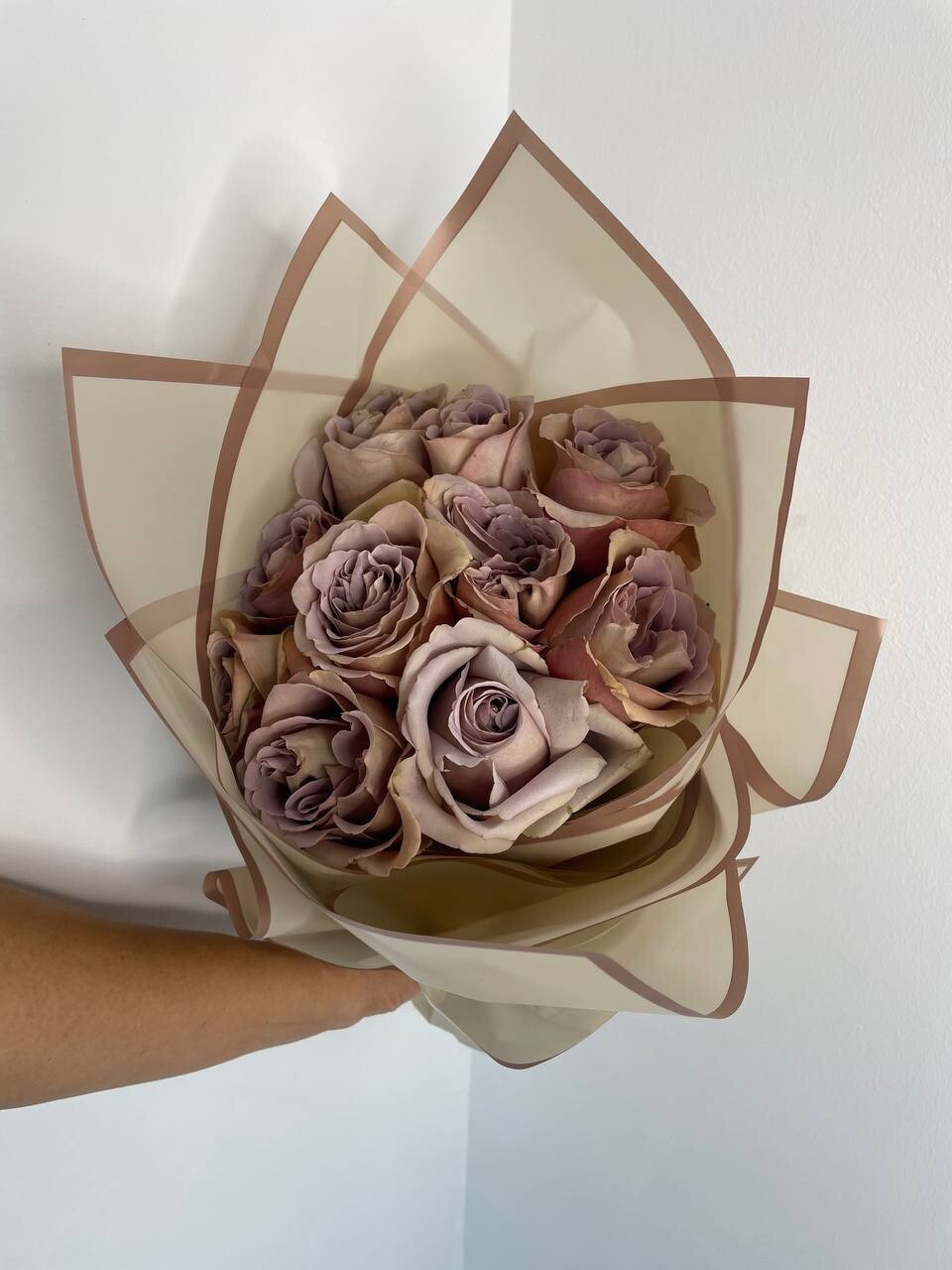 Cappuccino rose