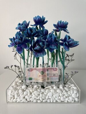 Blue Tulip