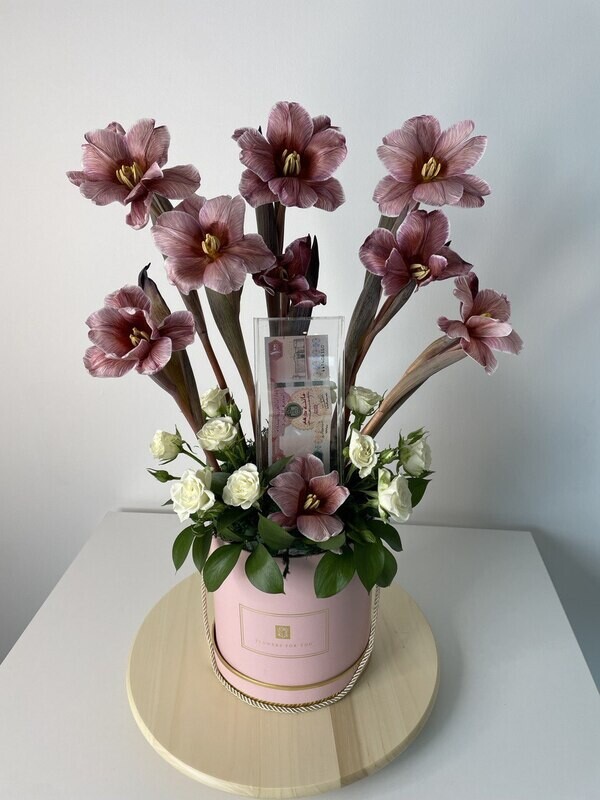 Elegant Tulip