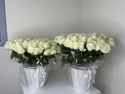 White Roses