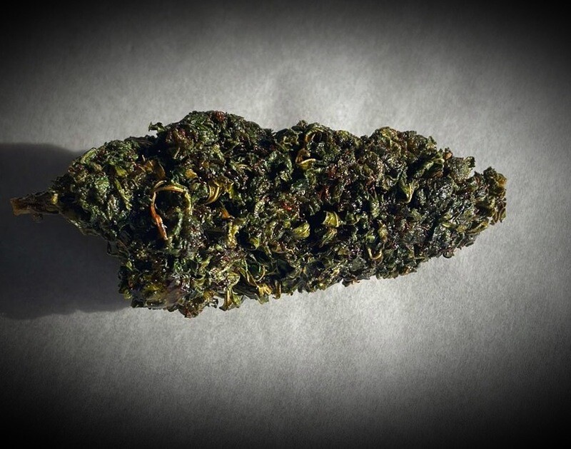 EL CHAPO 2025 HYBRID H Ανθοι 3gr