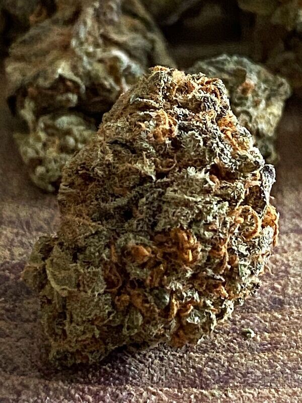 Small Buds LEMON KUSH HYBRID C  2025​  100gr
