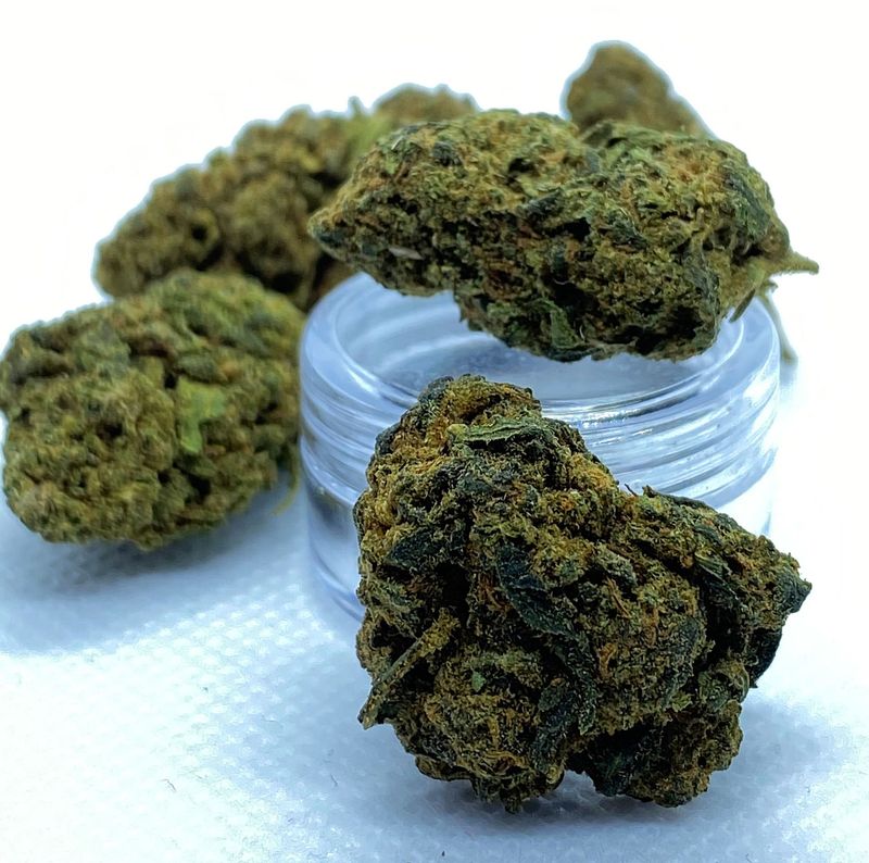 HYBRID H 2025 Ανθοι BLACK ICE 10gr