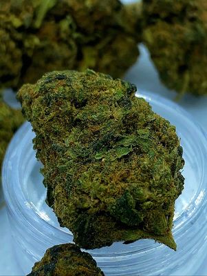 ΑΝΘΟΙ HYBRID H 2025 BLACK RUSSIAN  10gr