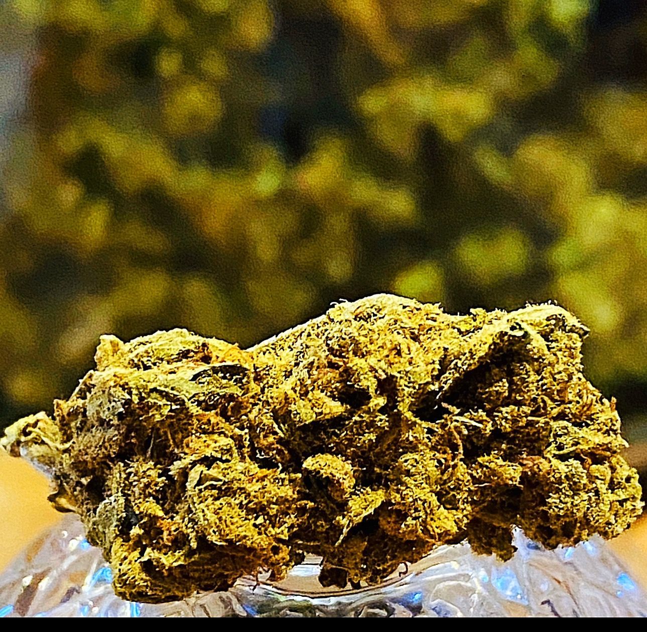 ​ΑΝΘΟΙ HYBRID H 2025 WHITE WIDOW 10gr