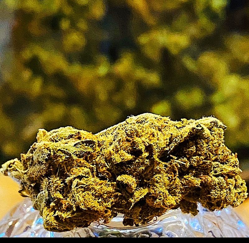 ​ΑΝΘΟΙ HYBRID H 2025 WHITE WIDOW 10gr