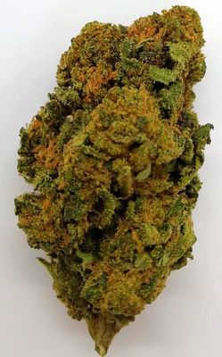2025 HYBRID ​CBG9 ΑΝΘΟΙ SEXY RED 10gr