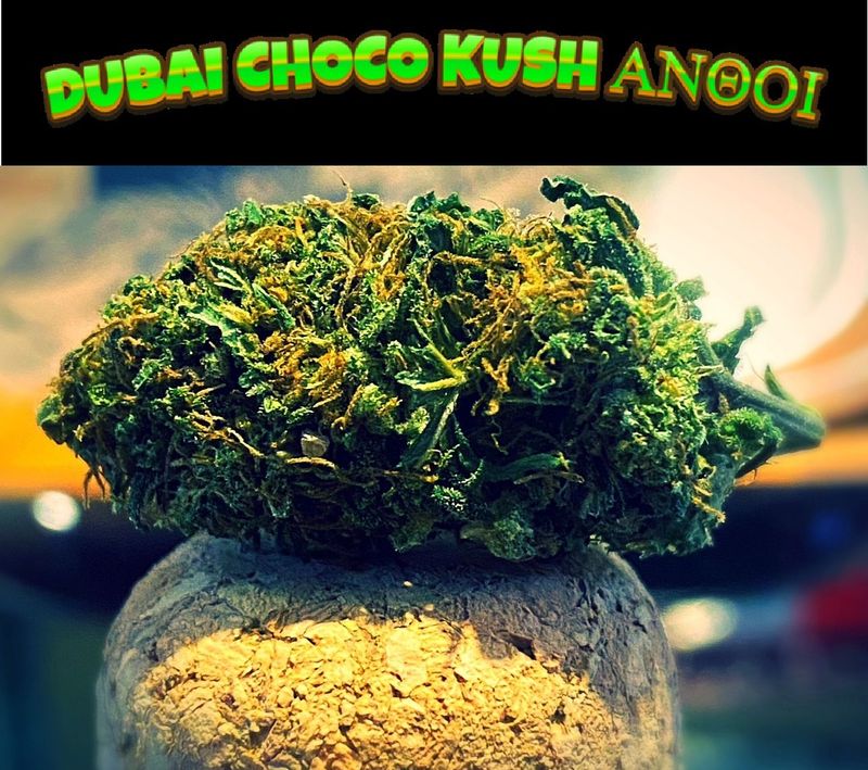 ​DUBAI CHOCO HYBRID KG25 95% ΑΝΘΟΙ 1gr​