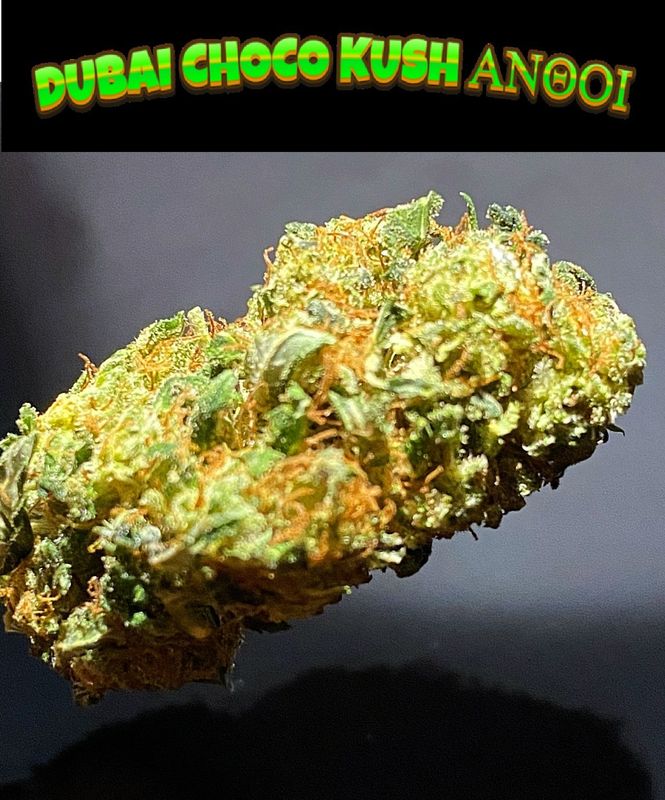 ​​DUBAI CHOCO HYBRID KG25 95 ΑΝΘΟΙ 10gr​