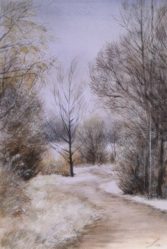 "Sentier dans le forêt"