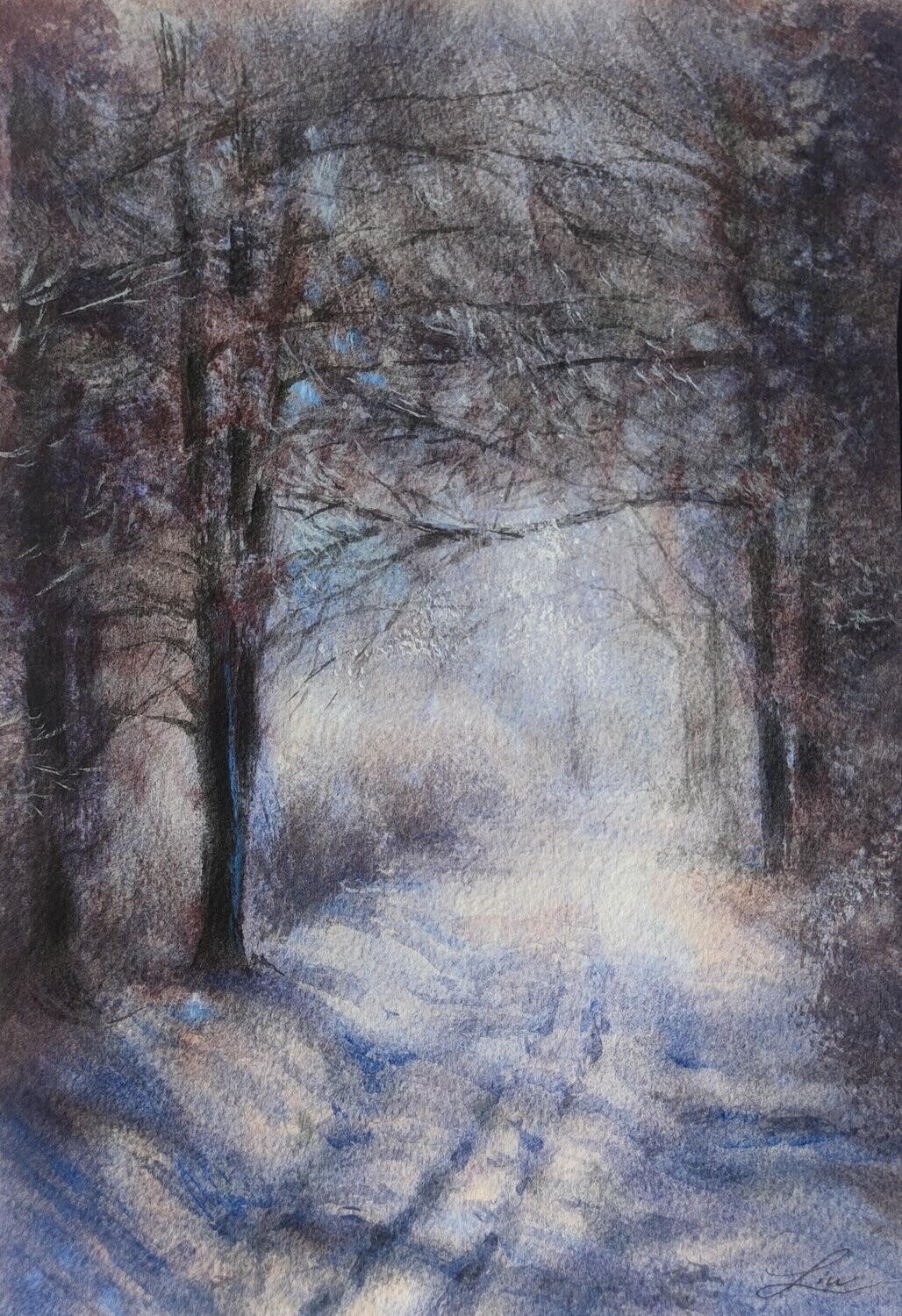 "L'hiver dans la forêt"