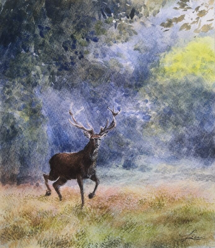 "Le cerf"