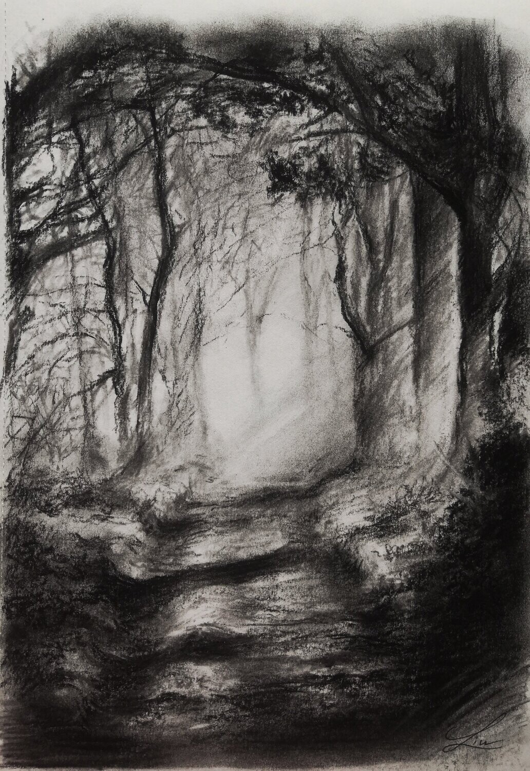 "La lumière dans la forêt"