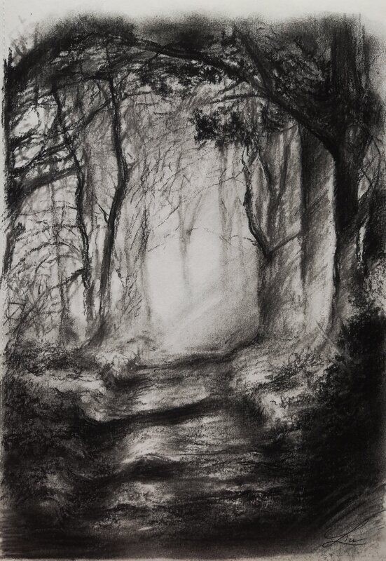 "La lumière dans la forêt"