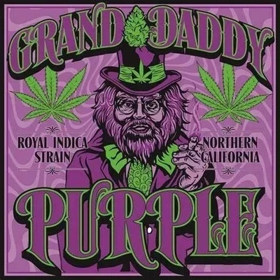 GRAND DADDY PURPLE Premium INDICA Hybrid Cannabis Strain