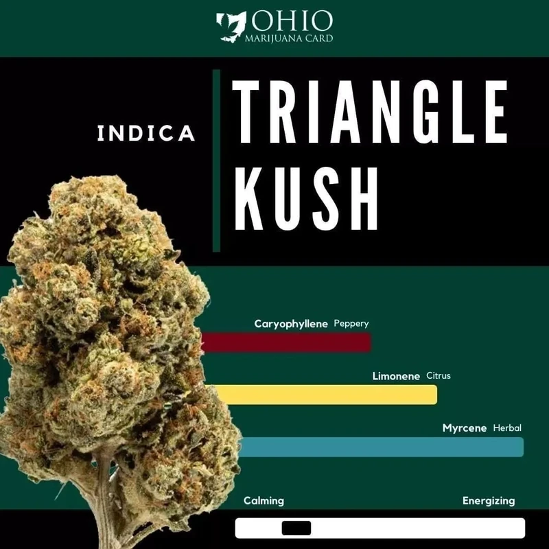 TRIANGLE KUSH  Premium SATIVA Hybrid Cannabis Strain